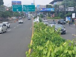 Satu Arah! Polisi Terapkan Kebijakan One Way di Puncak, Arah Jakarta Saja yang Dibuka Siang Ini