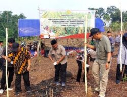 Menyulap Pertanian: Kolaborasi UGM, IPB, dan Kementan