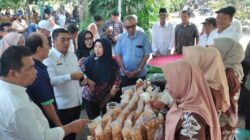 Deklarasi P4S Wilayah Sumatera Meriset Dukung Peningkatan SDM Pertanian di Ogan Ilir