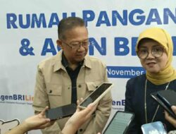 Bulog Siap Berubah Menjadi Lembaga Otonom di Bawah Naungan Presiden