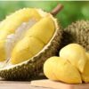 Durian: Si Raja Buah yang Penuh Kalori dan Nutrisi