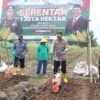 Kapolres Metro Tangerang Pimpin Penanaman Jagung 1 Hektare